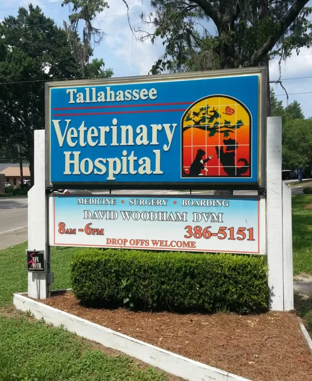 Tallahassee Veterinary Hospital, Florida, Tallahassee